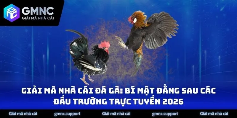 Giải Mã Nhà Cái Đá Gà